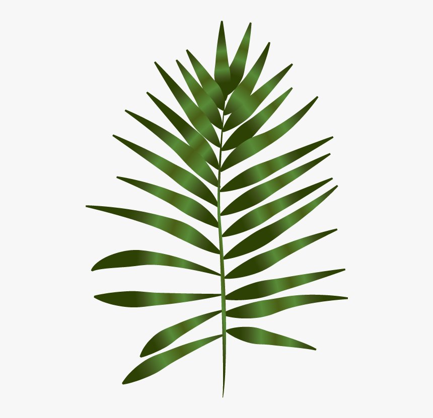 The Niki Whiting - Fern Art Png, Transparent Png, Free Download