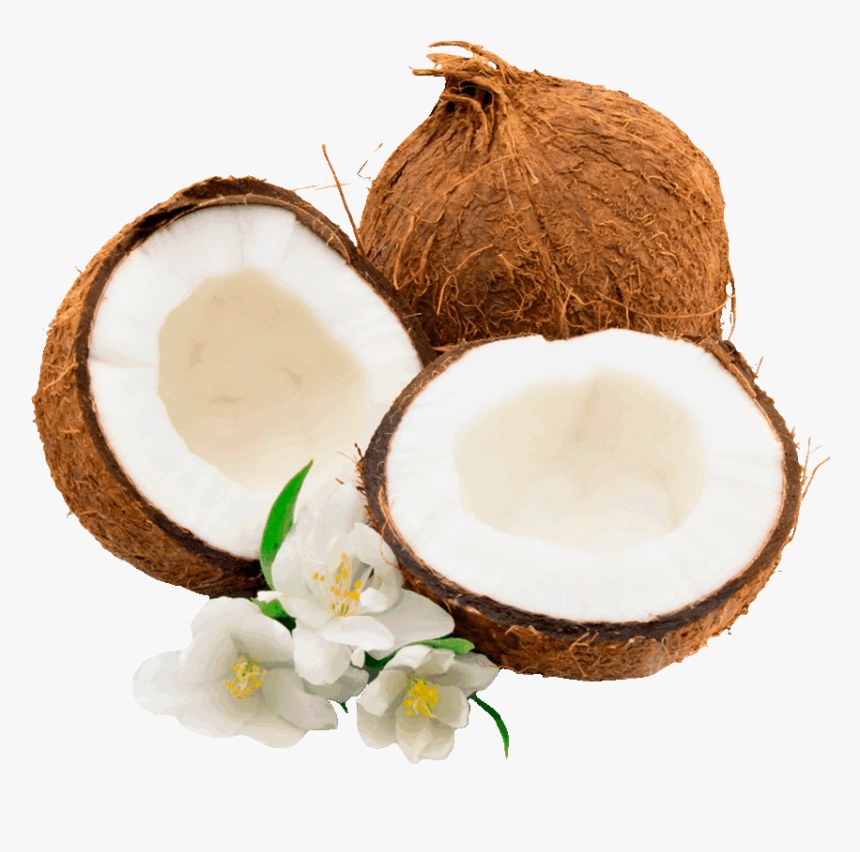 Coconut Palm Clip Art - Coco Png, Transparent Png, Free Download