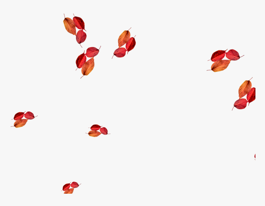 Illustration, HD Png Download, Free Download