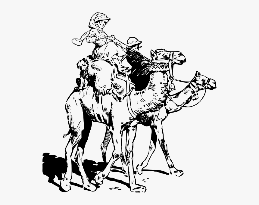 People On Camels - Ride A Camel Clipart Black And White, HD Png Download, Free Download