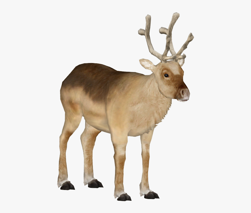 Thumb Image - Peary Caribou Png, Transparent Png, Free Download