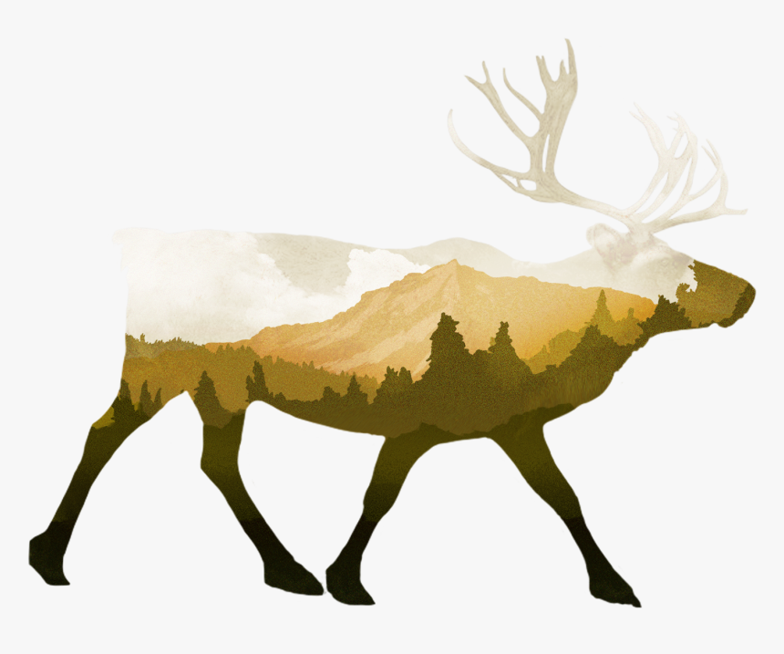 Barren Ground Caribou, HD Png Download, Free Download