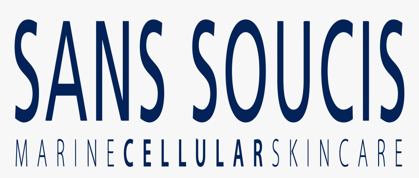 Fête De La Musique, HD Png Download, Free Download