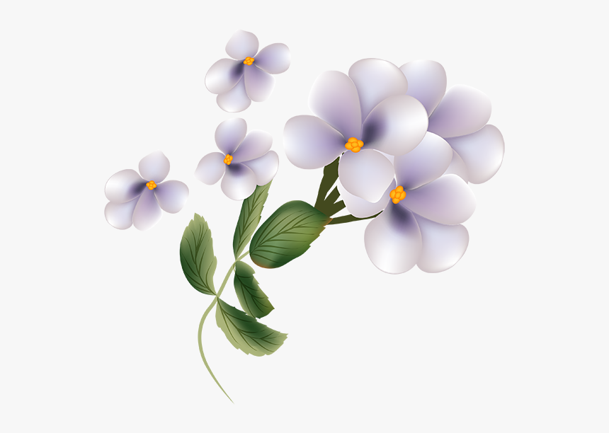 Thumb Image - Viola, HD Png Download, Free Download