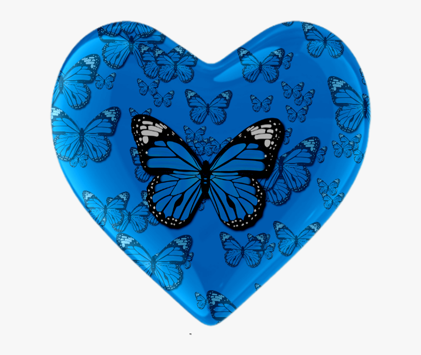 Butterfly, HD Png Download, Free Download