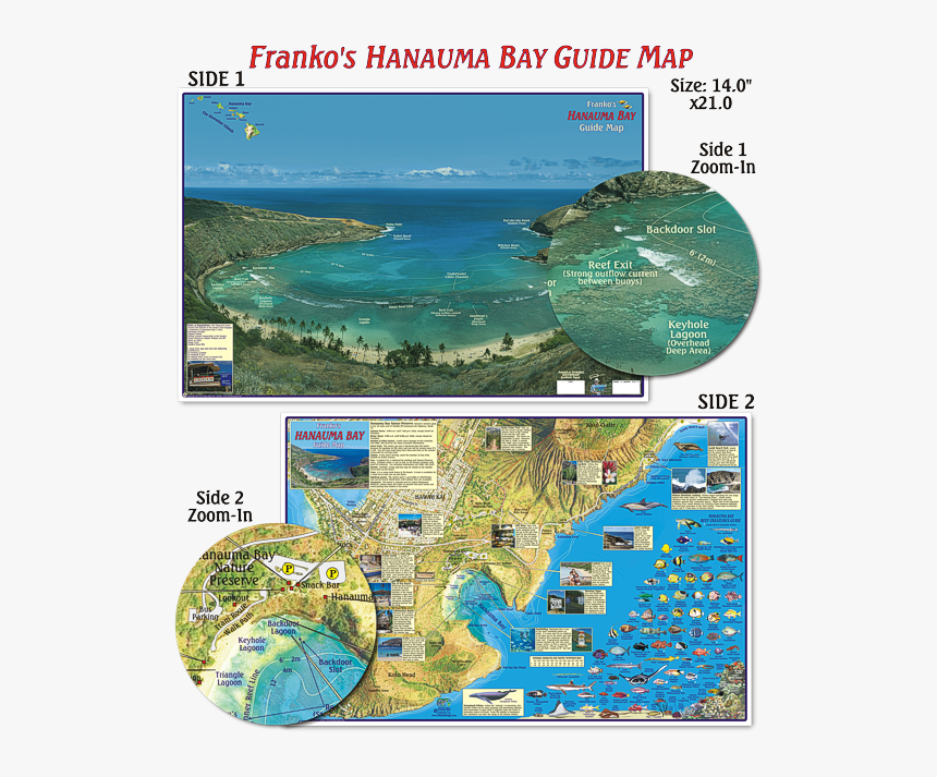 Waterproof Folded Map Or Laminated Poster - Hanauma Bay Snorkeling Map, HD Png Download, Free Download
