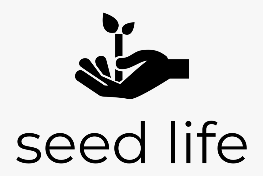 Seed Of Life Png , Png Download - Tree Of Life International Ministries, Transparent Png, Free Download