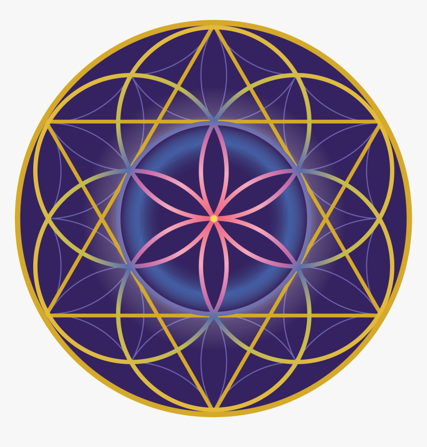 Home The Flower Of Life Ion Apothecary - Seed Of Life Color, HD Png Download, Free Download