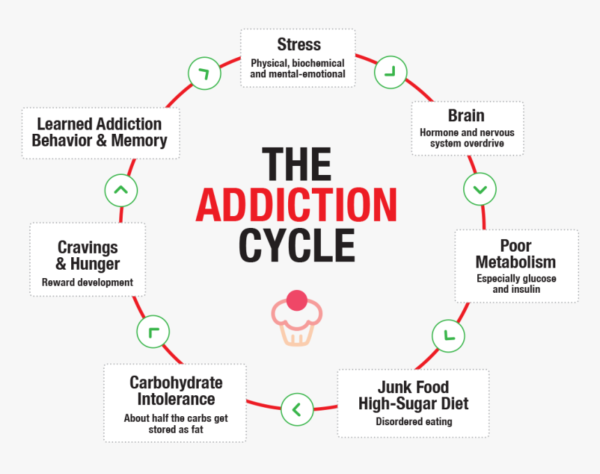 Addiction-cycle - Vicious Cycle Of Addiction, HD Png Download, Free Download