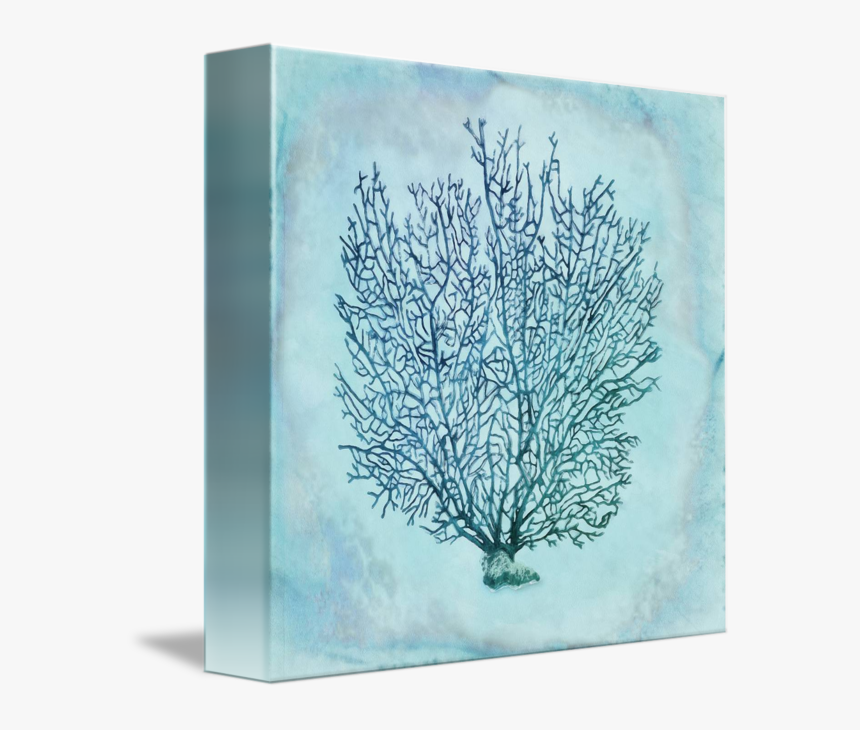 Coral Watercolor Png - Tree, Transparent Png, Free Download