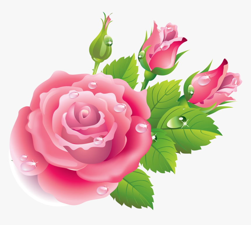 Floribunda, HD Png Download, Free Download