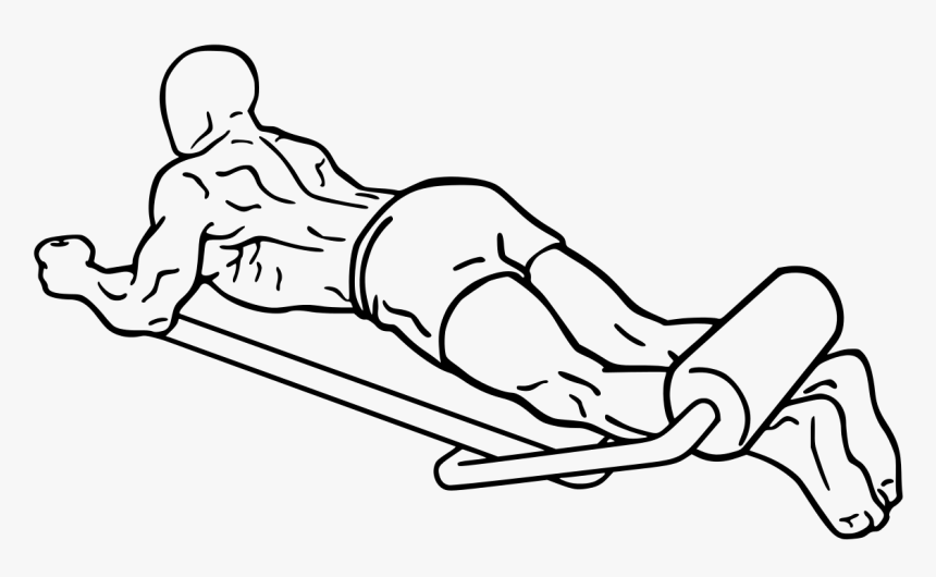 Lying Leg Curl Diagram, HD Png Download, Free Download