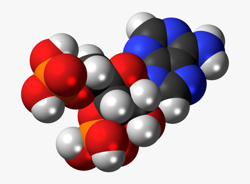 Molecular Structure Png Hd - Adenosine Monophosphate Model, Transparent Png, Free Download