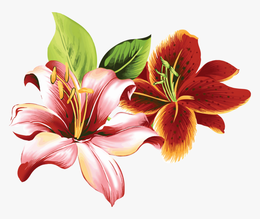 [​img] - Tiger Lily Flower Png, Transparent Png, Free Download