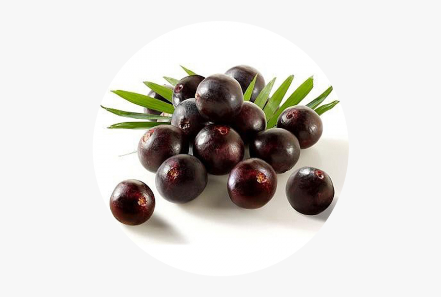 Acai Berry, HD Png Download, Free Download