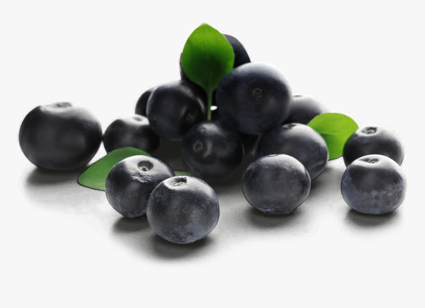 Bilberry, HD Png Download, Free Download