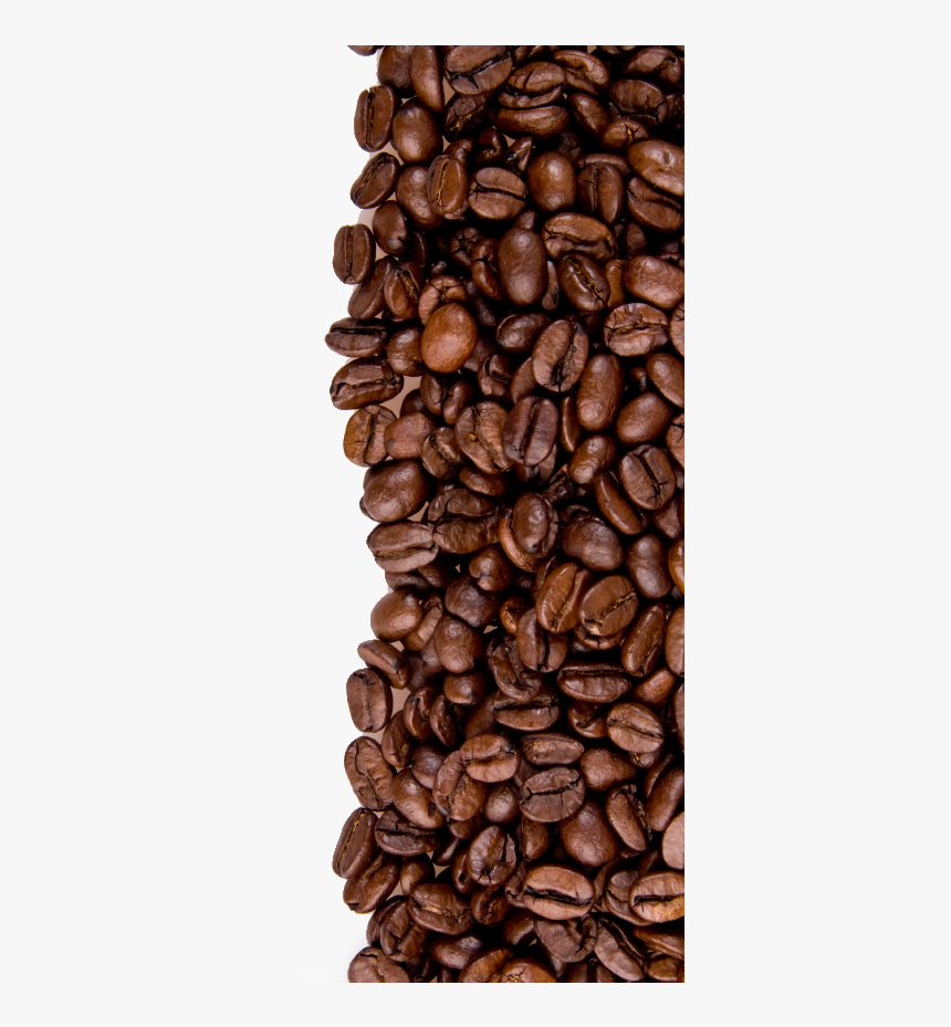 Transparent Coffee Bean Clipart Black And White - High Resolution Coffee Beans Png, Png Download, Free Download