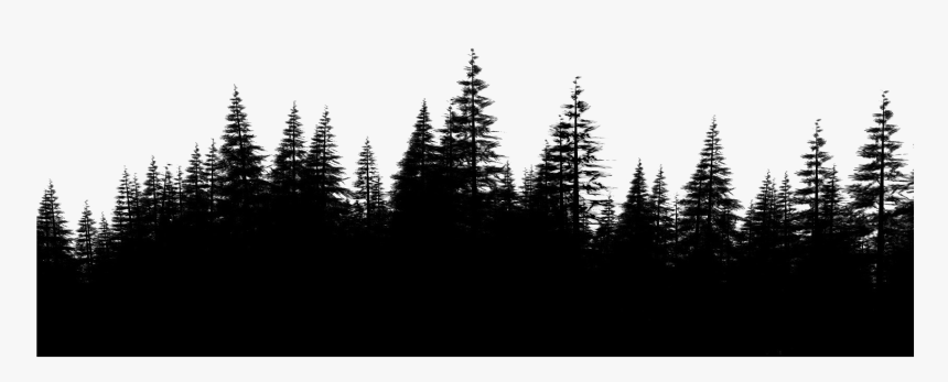 Transparent Forest Clipart Backgrounds - Pine Forest Png, Png Download, Free Download