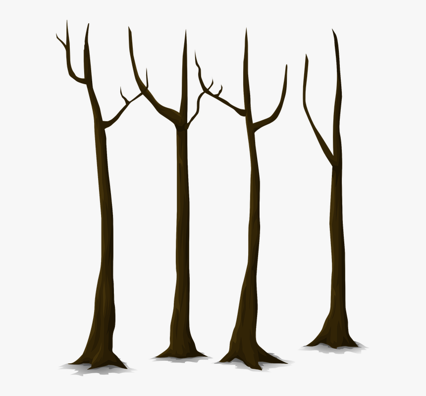 Transparent Fall Trees Clipart - Tree Trunk Vector Png, Png Download, Free Download