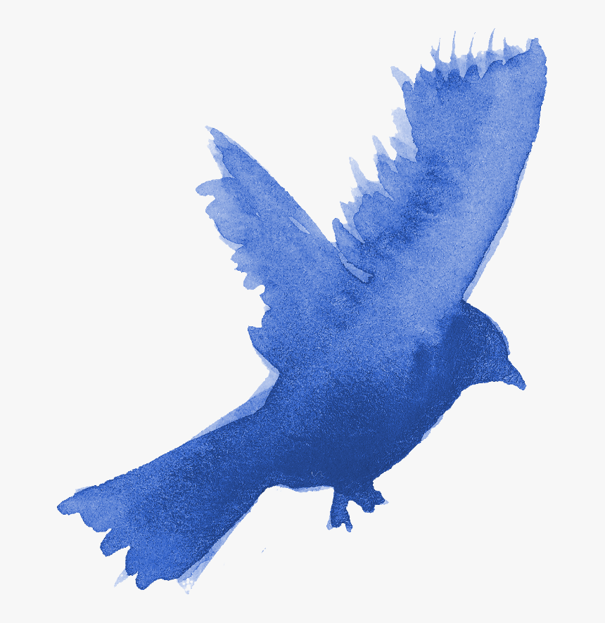 Bluebird, HD Png Download, Free Download