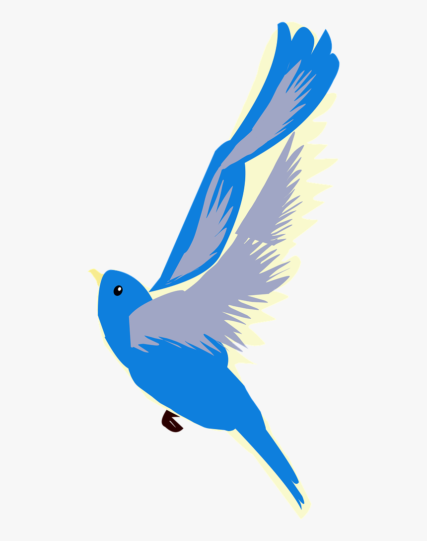 Transparent Blue Birds Png - Mountain Bluebird, Png Download, Free Download