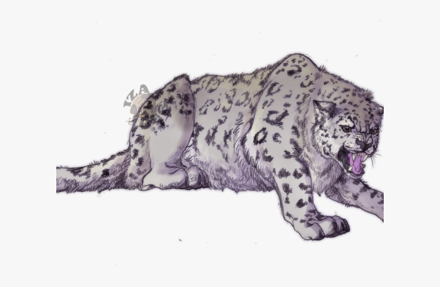 Snow Leopard Digital Drawing, HD Png Download, Free Download