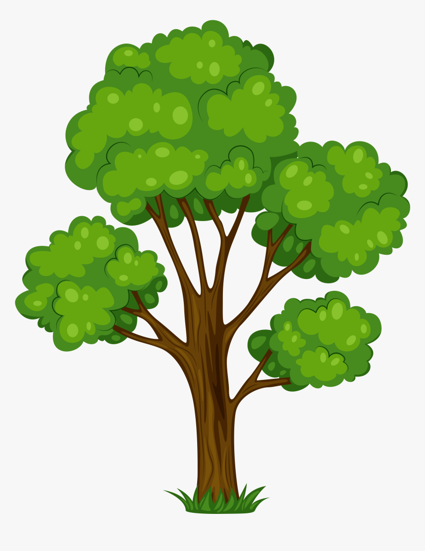 Tree Png Transparent Images - Transparent Background Tree Clipart, Png Download, Free Download