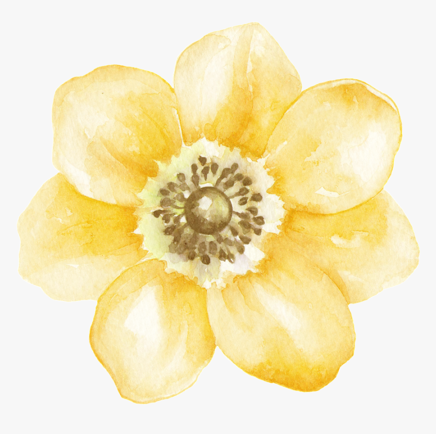 Yellow Gradient Flower Transparent Decorative - 素材 Png 透明 花, Png Download, Free Download