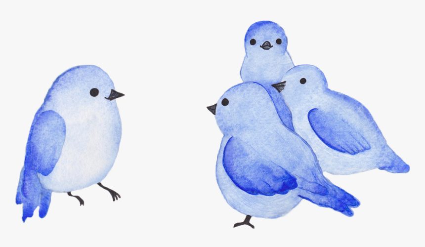 Mountain Bluebird , Png Download - Mountain Bluebird, Transparent Png, Free Download