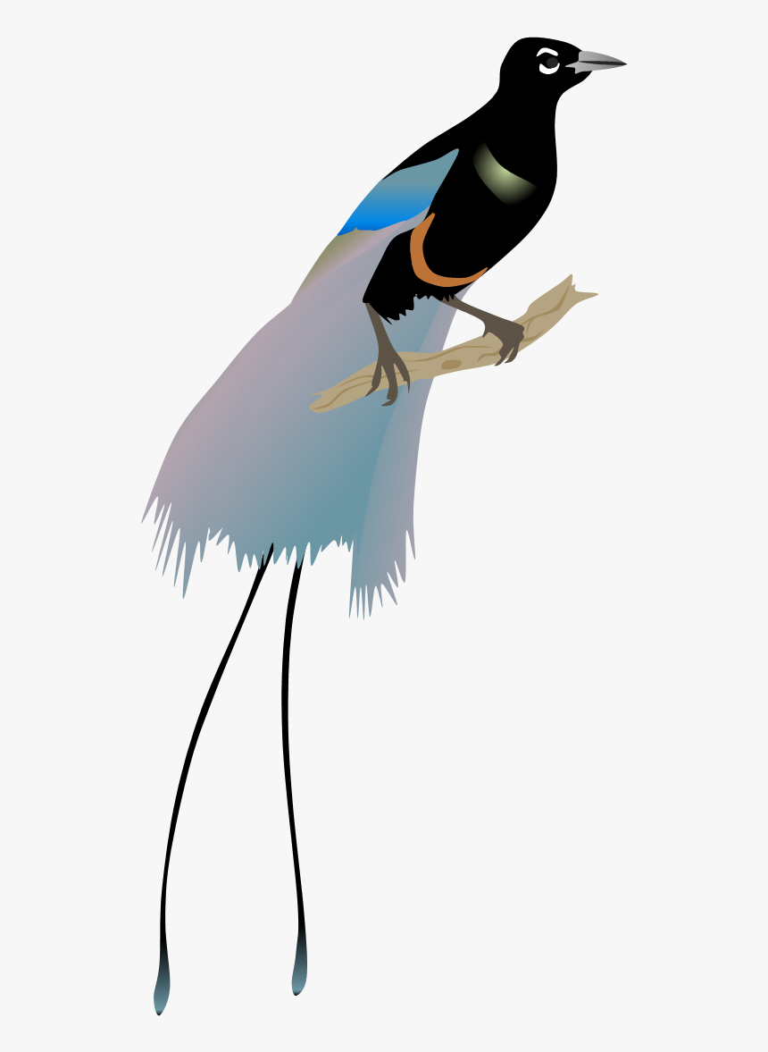 Bird Of Paradise Png , Png Download - Blue Bird Of Paradise Png, Transparent Png, Free Download