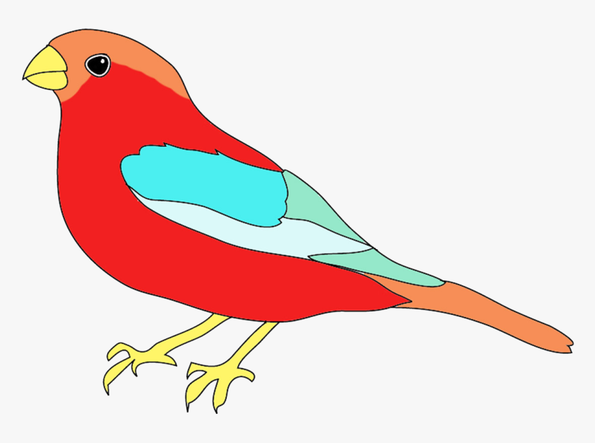 Bird In Many Colors - Birds Image For Colour, HD Png Download, Free Download