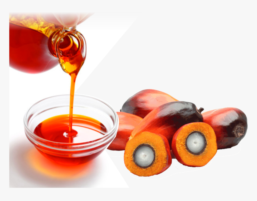Home/vegetable Oils/rdb Palm Oil - Palm Oil Png, Transparent Png, Free Download
