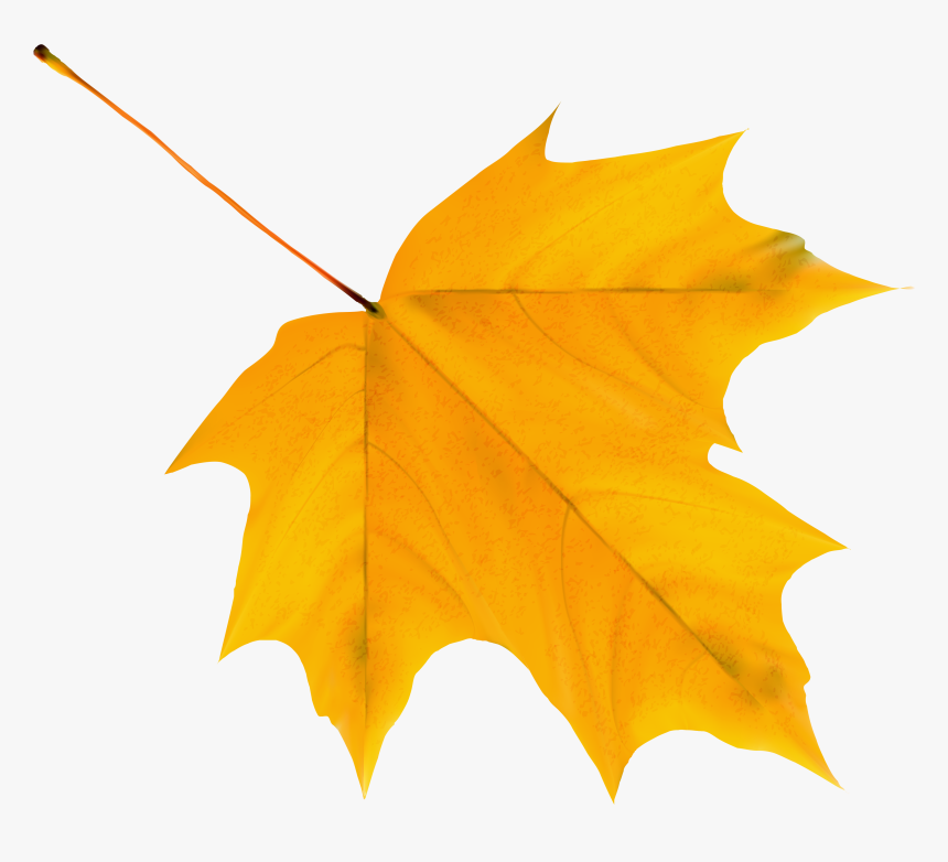 Yellow Autumn Leaf Png Clipart Image - Yellow Fall Leaves Clip Art, Transparent Png, Free Download