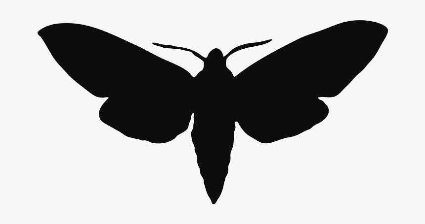 Moth - Transparent Moth Silhouette, HD Png Download, Free Download