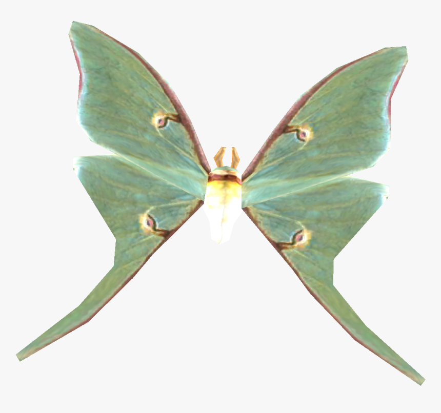 Lunamoth - Transparent Luna Moth Png, Png Download, Free Download