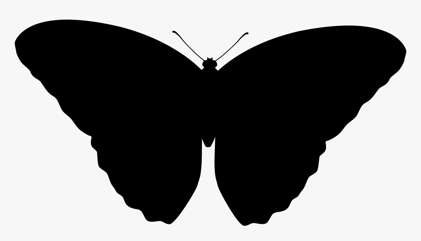 Brush-footed Butterflies Font Silhouette M - Siluetas Png Mariposas, Transparent Png, Free Download