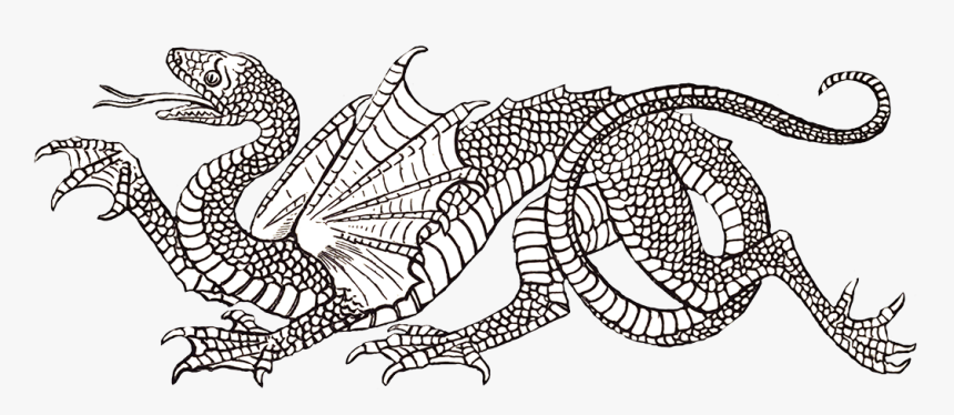 Cool Snake Dragon - Heraldic Dragon, HD Png Download, Free Download