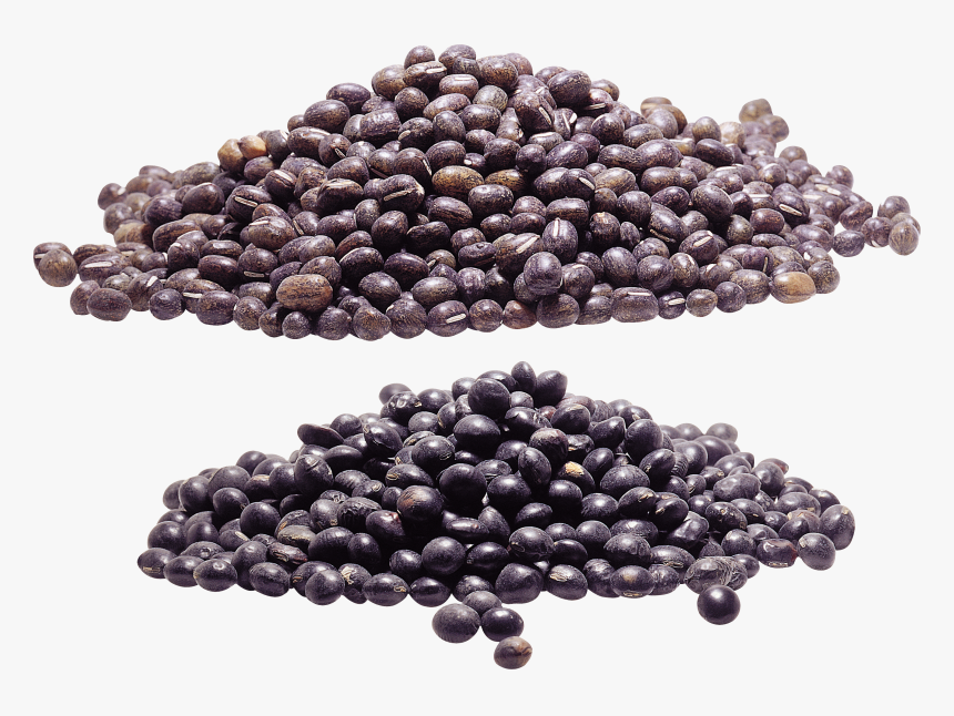 Kidney Beans Png - Bead, Transparent Png, Free Download