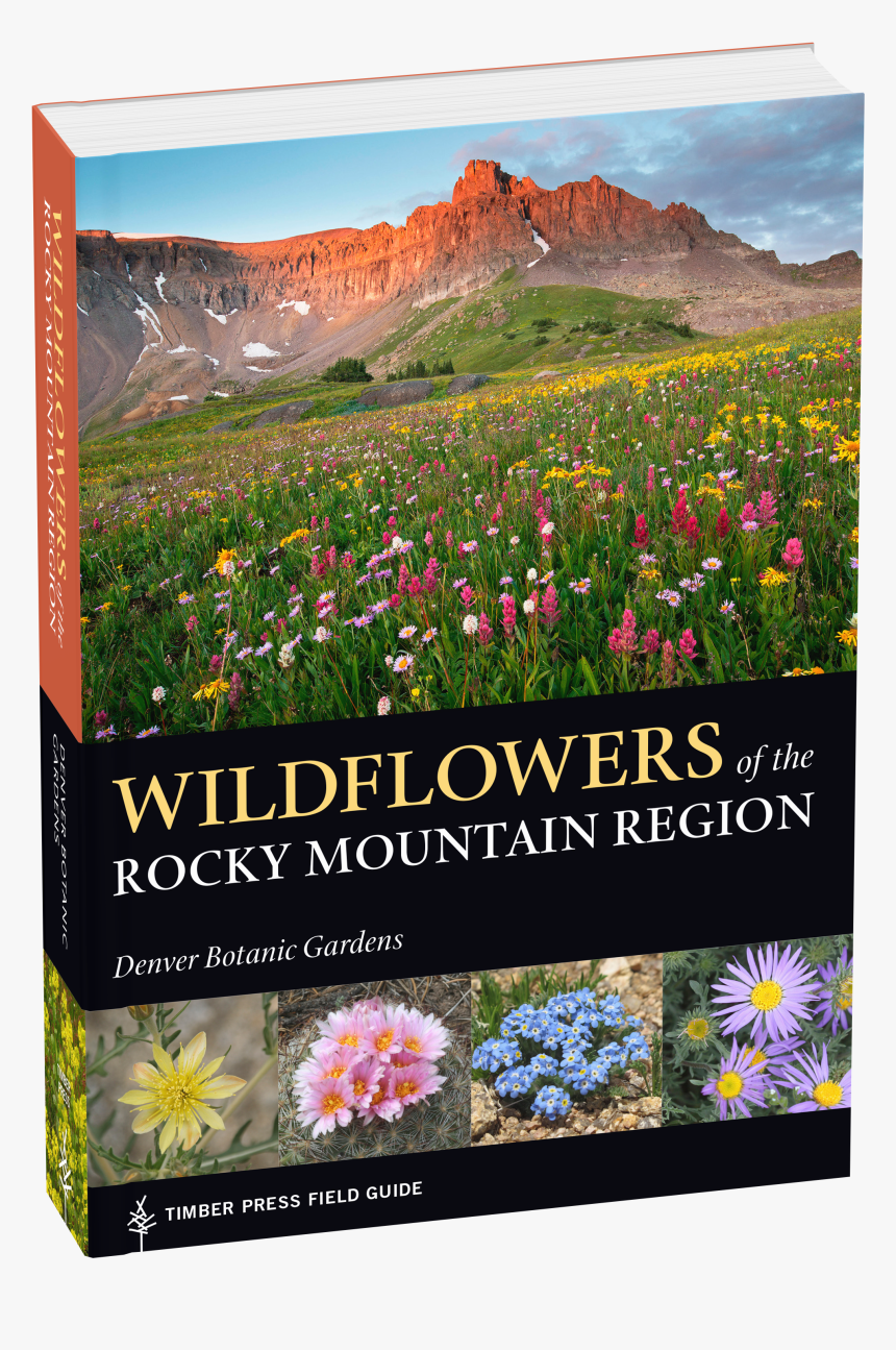 Cover - Rocky Mountain Wildflower Guide, HD Png Download, Free Download