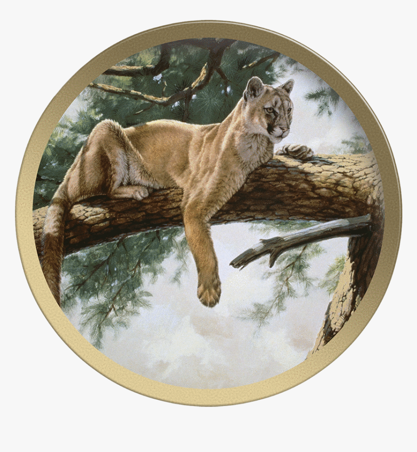 Transparent Mountain Lion Png - Guy Coheleach Rocky Mountain Lion, Png Download, Free Download