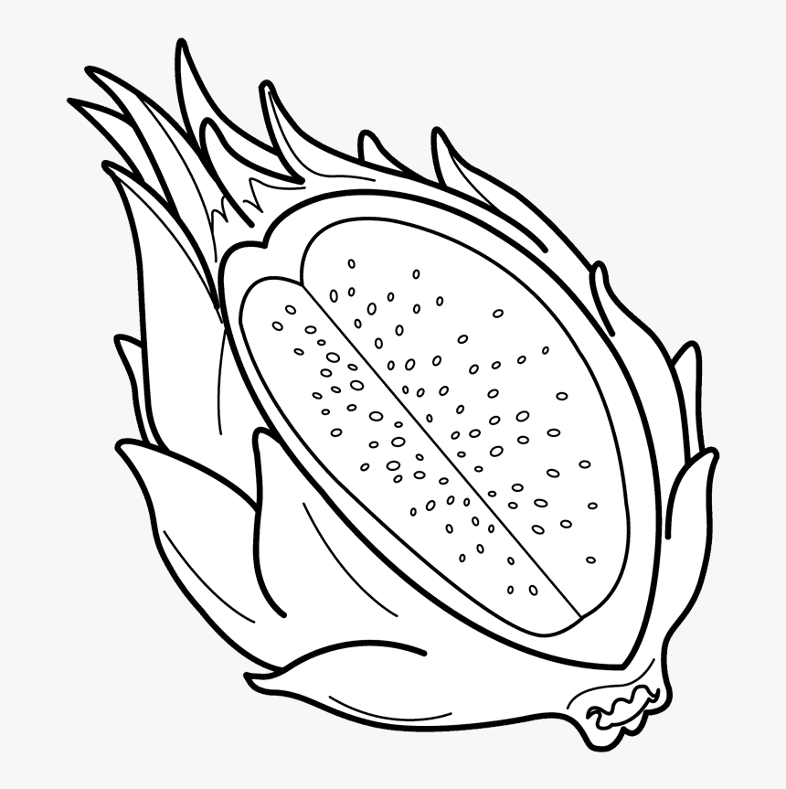 Dragon Fruit Carving Pictures Pitaya Clipart Black - Dragon Fruit Black And White Clipart, HD Png Download, Free Download