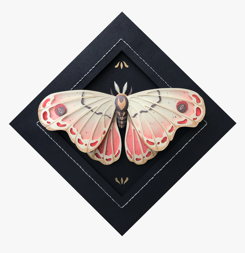 Moth, HD Png Download, Free Download