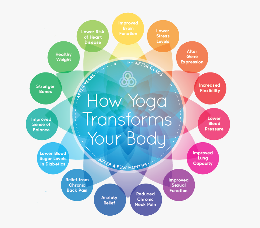 Yoga Transforms Your Body, HD Png Download, Free Download