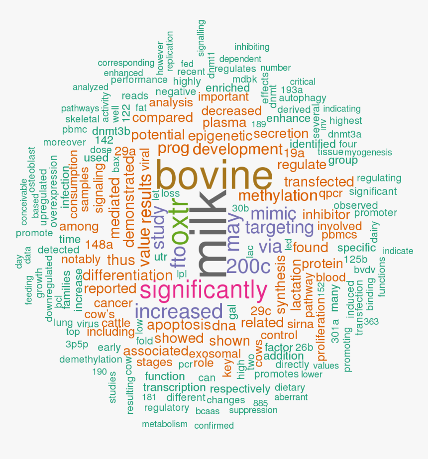 Clustering Words, HD Png Download, Free Download