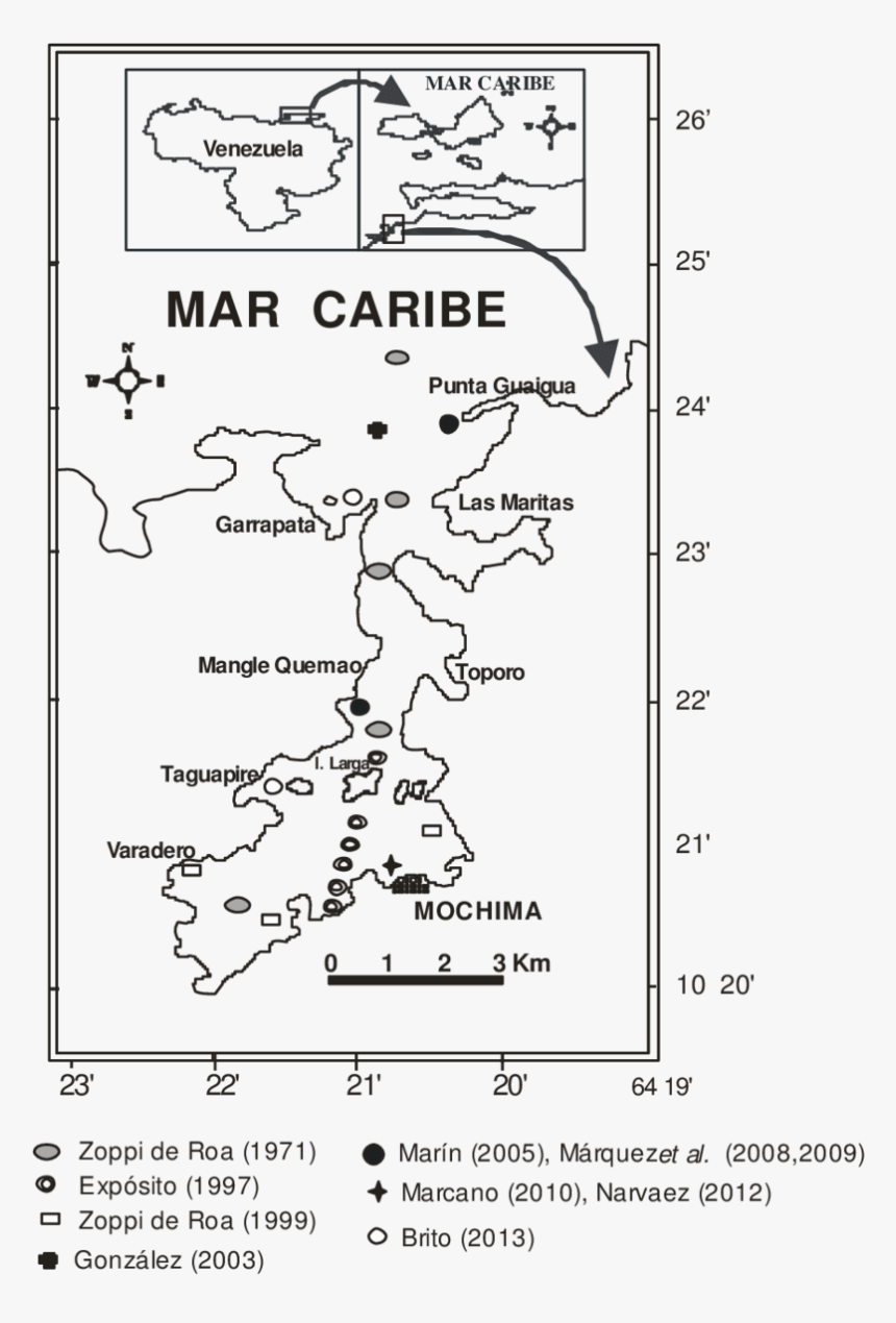 Diagram, HD Png Download, Free Download