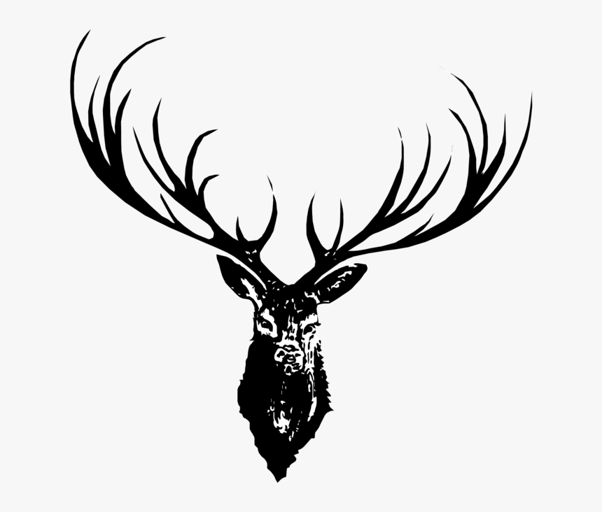 Hand Drawn Deer Png, Transparent Png, Free Download