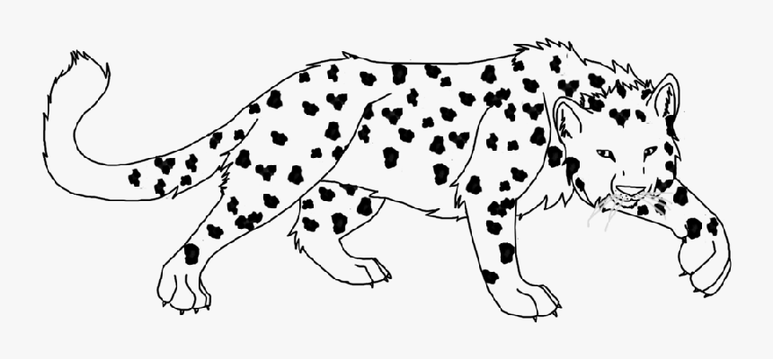 Careful Hunting Black-and White Snow Leopard Tattoo - Transparent Leopard Line Art, HD Png Download, Free Download