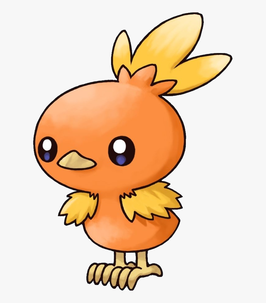 255 - Torch Pokemon, HD Png Download, Free Download