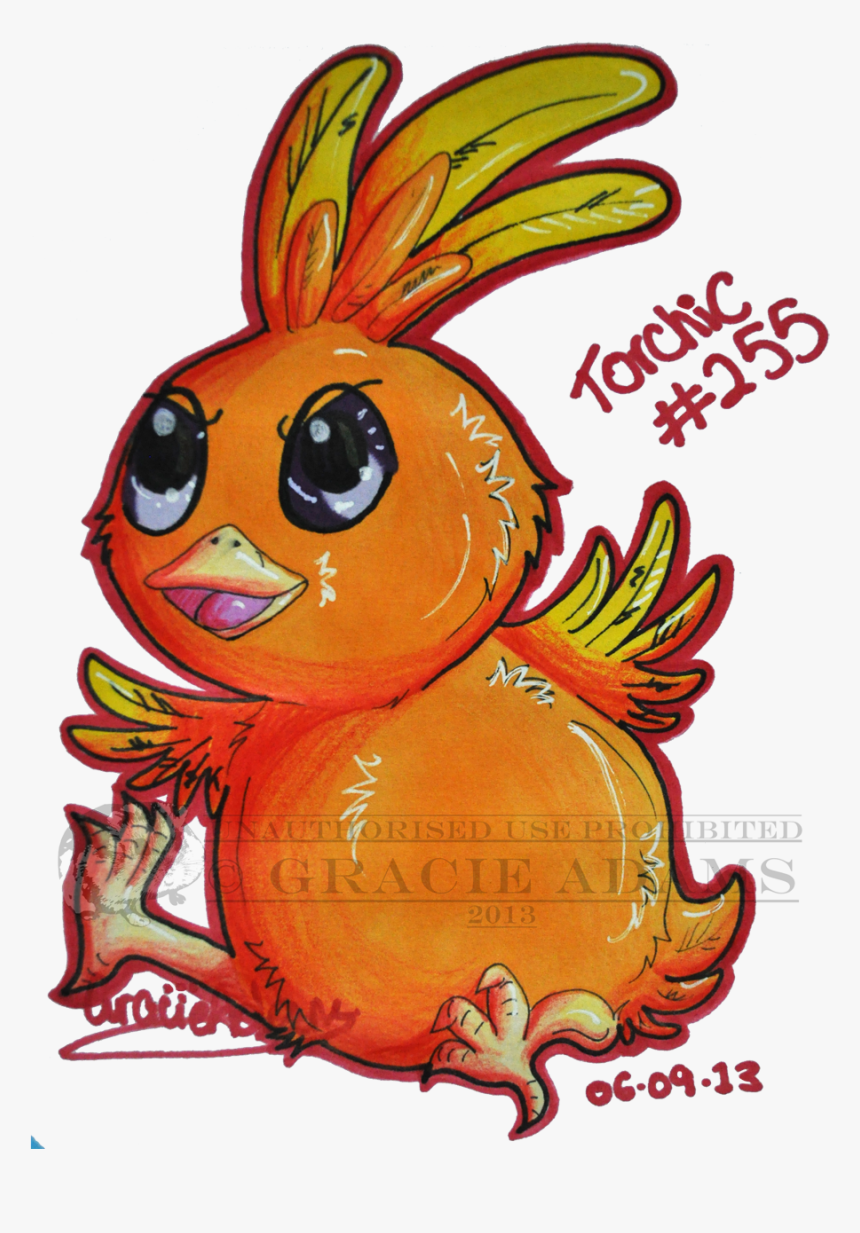 #255 Torchic - Cartoon, HD Png Download, Free Download