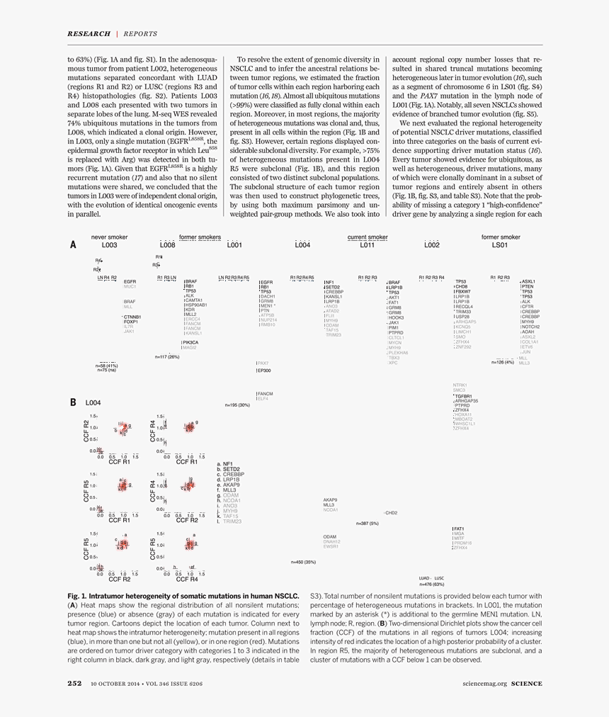 Document, HD Png Download, Free Download